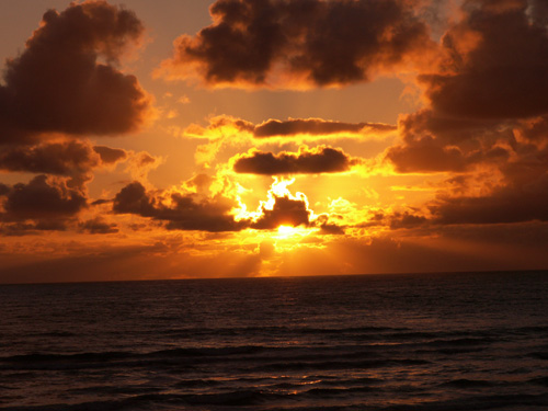 Golden Sunset at the Beach